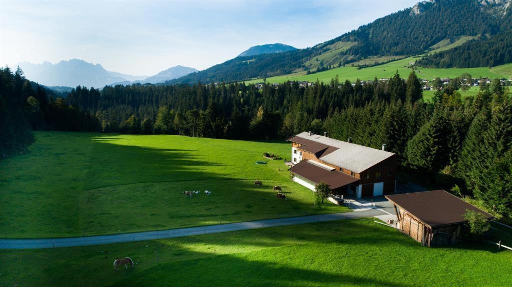 Bauernhof Niederfilzboden Villa Fieberbrunn Exterior photo